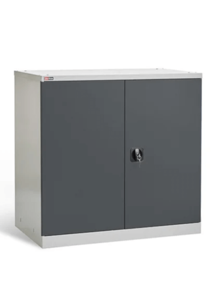 Шкаф инструментальный ДиКом ВЛ-051-02 купить в Тюмени Шкаф инструментальный ДиКом ВЛ-051-02 купить в Тюмени