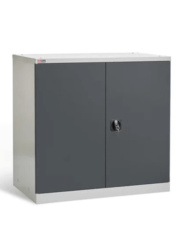 Шкаф инструментальный ДиКом ВЛ-051 (7038/7016) купить в Тюмени Шкаф инструментальный ДиКом ВЛ-051 (7038/7016) купить в Тюмени